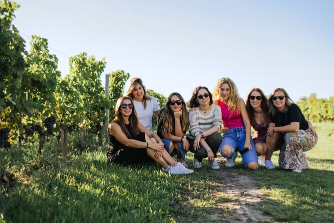 Full Day Tour Saint Emilion with lunch two Chateaux and Village - A one-hour walk through medieval Saint-Émilion
