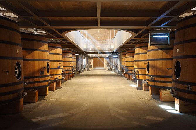 Full Day Tour Saint Emilion with lunch two Chateaux and Village - Lunch at a château, with local food and wine