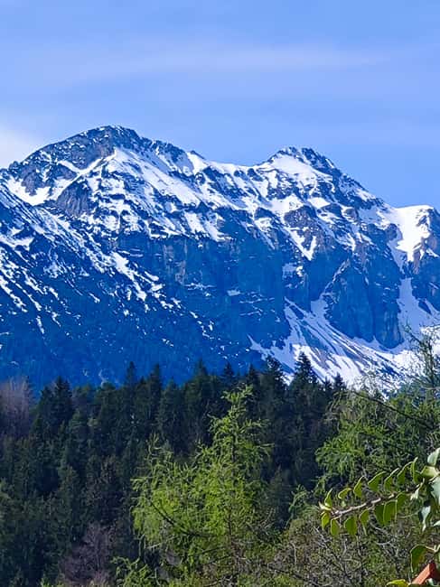 Füssen to Neuschwanstein Castle - Guided Scenic Tour - Approaching the castle through the forest