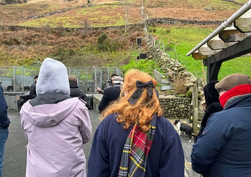 Galway: Connemara, Sheepdog Show and Medieval Castle Tour - Who should book this tour