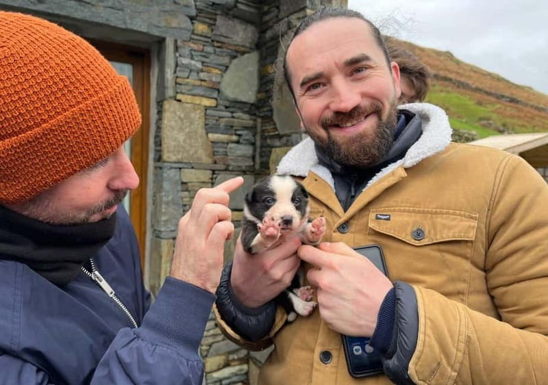 Galway: Connemara, Sheepdog Show and Medieval Castle Tour - Why this Connemara day trip works so well