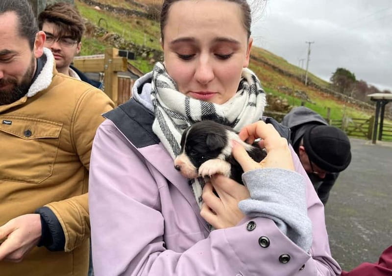 Galway: Connemara, Sheepdog Show and Medieval Castle Tour - What the tour includes, and what it does not