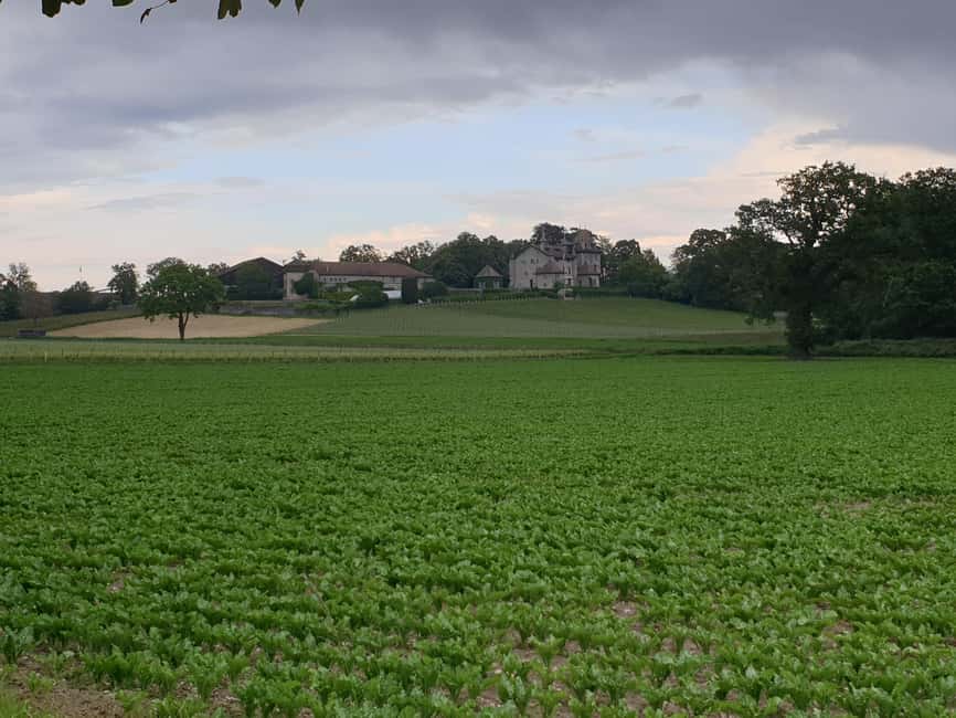 Geneva Countryside And Art Museum At A Castle Wine By E-Bike - Archives, cellars, and the art museum question