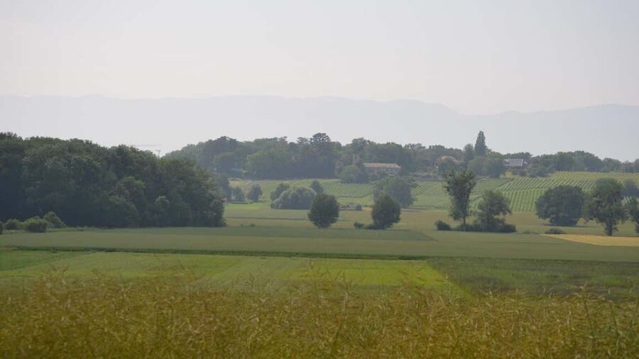 Geneva Countryside And Art Museum At A Castle Wine By E-Bike - Timing, languages, and practical details