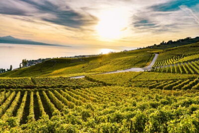 Geneva: Montreux, Chaplin’s World, Chillon Castle & Apéritif