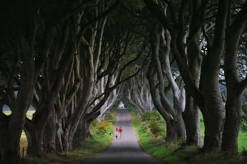 Giants causeway Irish castles & whiskey, Game of thrones - Bushmills and the 1608 whiskey connection