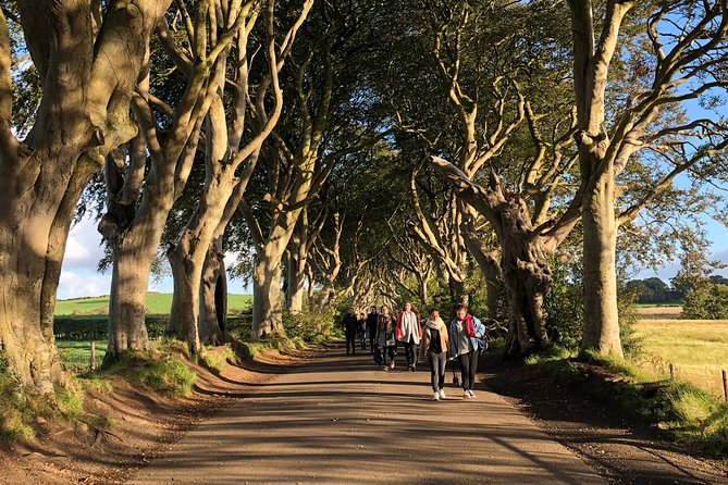 Giants Causeway, Rope Bridge, Carrickfergus Castle and Dark Hedges Tour - Carrick-a-Rede from Portaneevy View Point