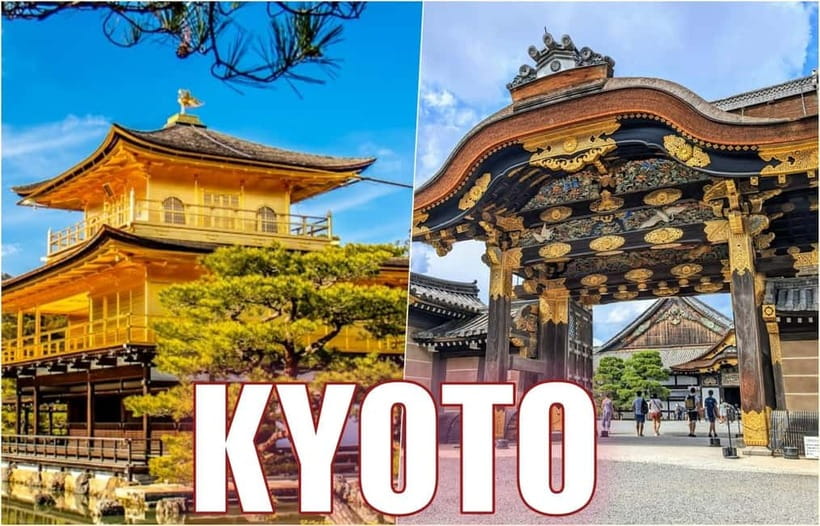 Golden Pavilion, Nijo Castle, & Nishiki Market Half day tour - Nijo Castle and the sound of power