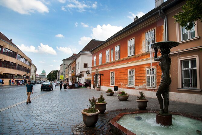 Guided Tour in Budapest Castle District - Timing, group size, and the pace of the walk