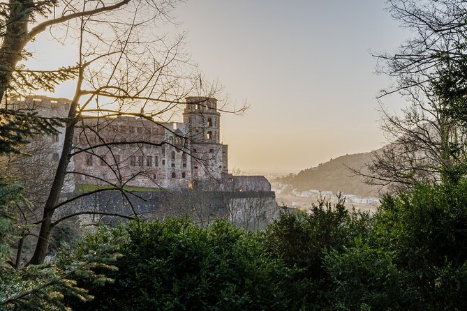 Heidelberg Castle and City Day Tour from Frankfurt - Why this Frankfurt to Heidelberg trip works