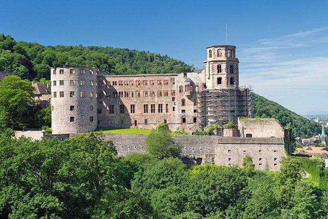 Heidelberg Castle and Old Town Tour from Frankfurt - Coach Comfort, Timing, and Practical Details