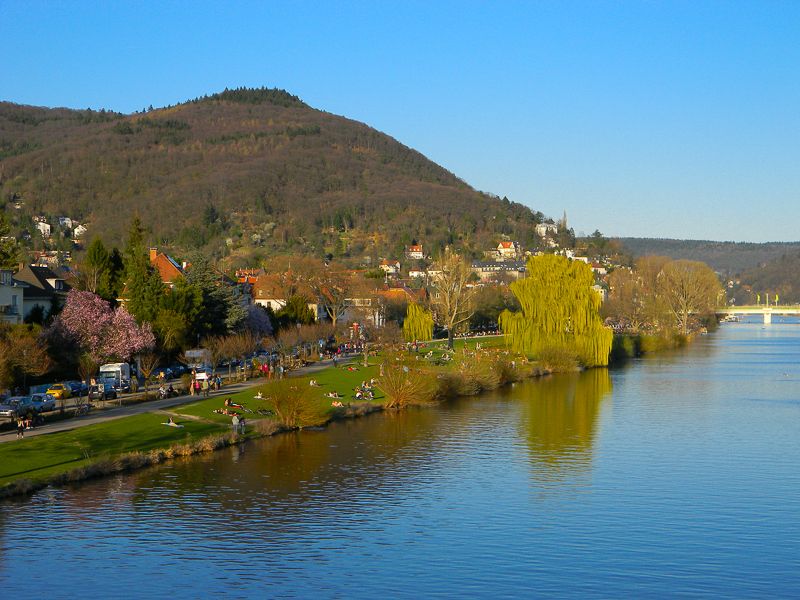 Heidelberg Castle Tour: Residence of the Electors - Key points to know before you book