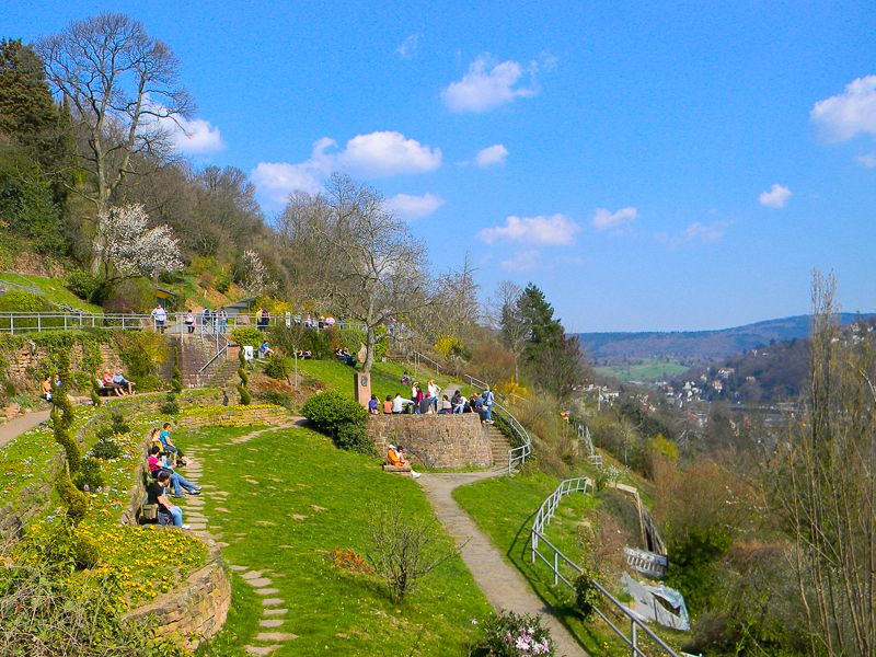 Heidelberg Castle Tour: Residence of the Electors - Meeting at Kornmarkt and heading uphill