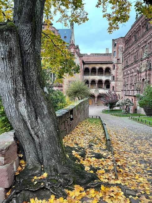 Heidelberg: Discover Heidelberg Castle – experience history up close - Taking the mountain railway up to Heidelberg Castle