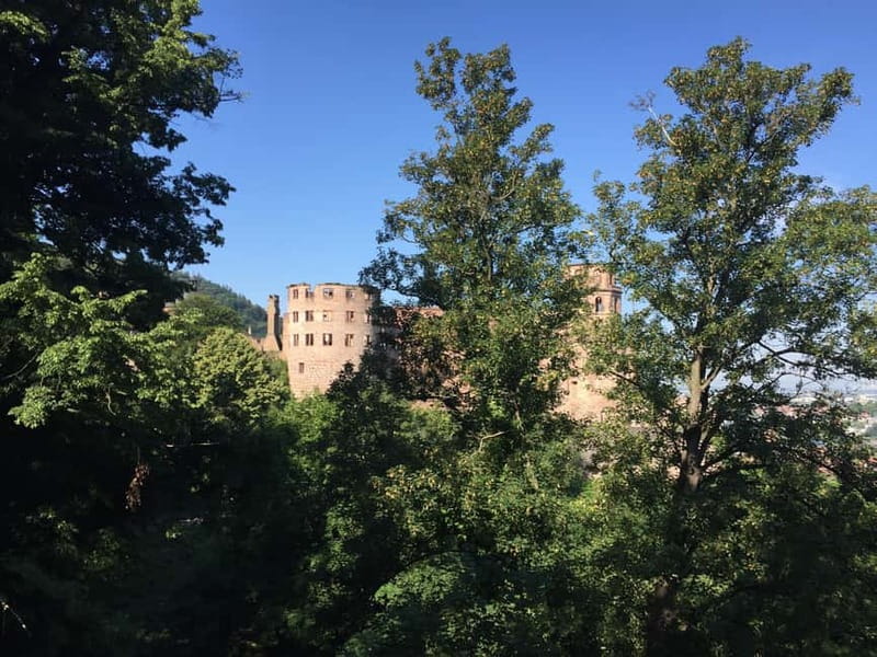 Heidelberg: Discover Heidelberg Castle – experience history up close - The Pharmacy Museum and medicine from earlier centuries