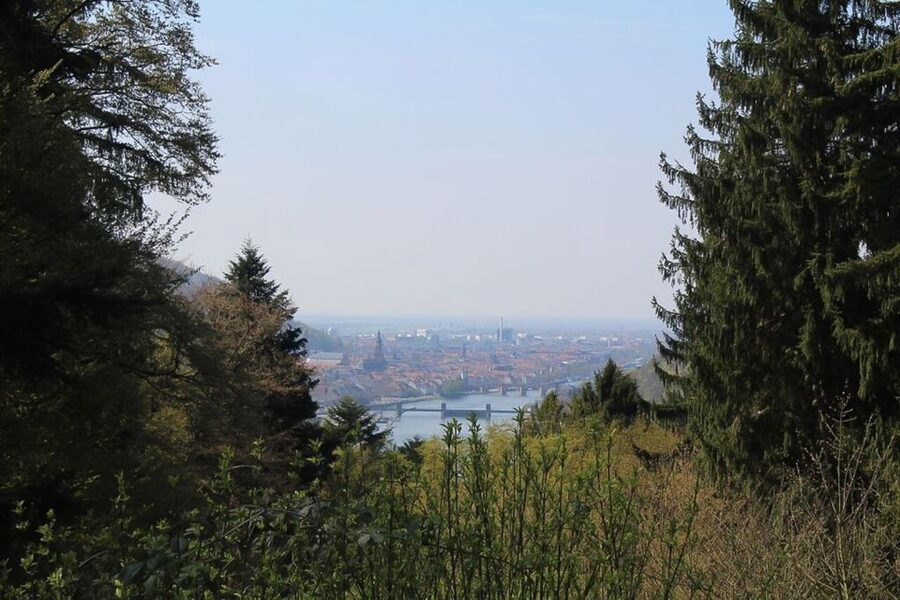 Heidelberg Highlights Segway Tour with Castle - Neuburg Abbey, a quieter piece of Heidelberg’s past
