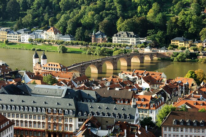 Heidelberg: Old Town Tour Including Castle Visit - Starting at the Lion Fountain and Germany’s oldest university