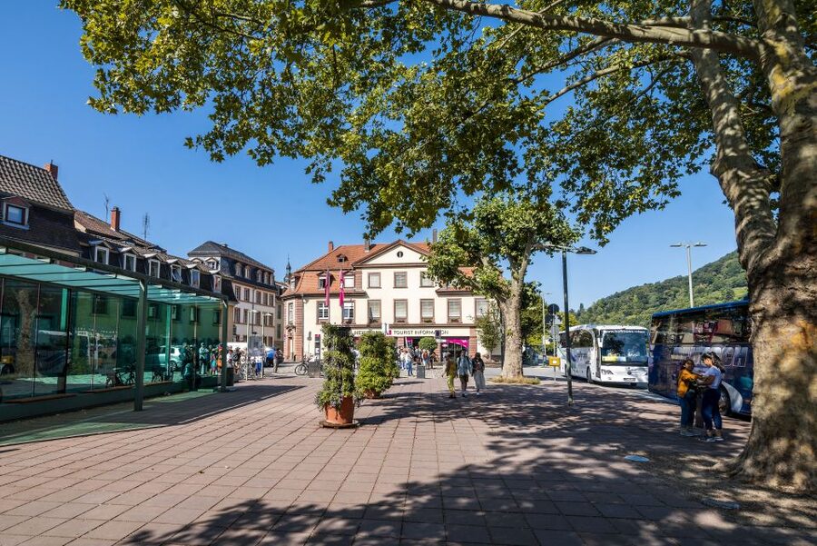 Heidelberg: Sightseeing Bus and Castle Tour - Key points to know before booking