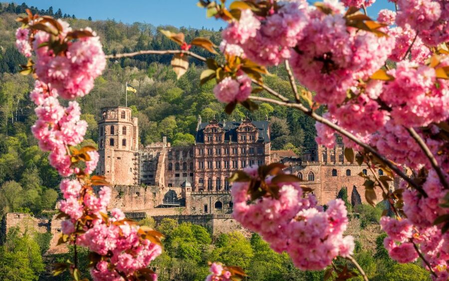 Heidelberg: Sightseeing Bus and Castle Tour - Starting at Neckarmünzplatz