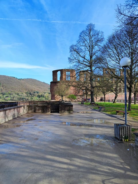 High Lights of Heidelberg - Private Tour of Castle and Town - Key points to know before booking