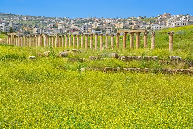 Histroy Tour in Jerash Ruins and Ajloun Castle - Why Pair Jerash With Ajloun Castle?