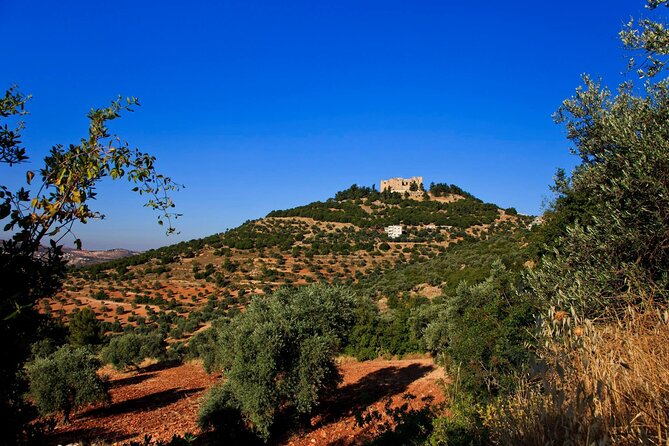 Histroy Tour in Jerash Ruins and Ajloun Castle - Climbing Into Ajloun Castle
