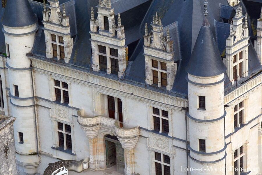 Hot Air Balloon Flight above the Castle of Chenonceau - Key points at a glance