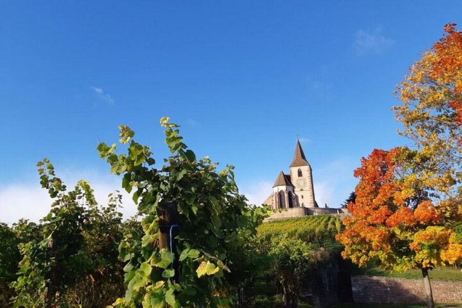Iconics Typical villages & Haut Koenigsbourg castle - A full day on the Alsace Wine Route