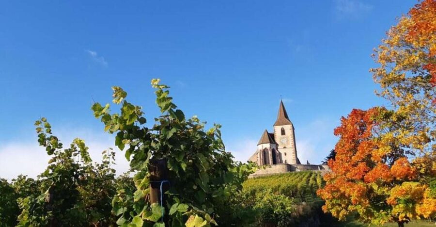 Iconics Typical villages & Haut Koenigsbourg castle - Riquewihr and the postcard streets