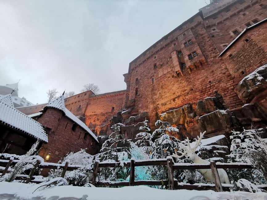 Iconics Typical villages & Haut Koenigsbourg castle - Finishing in a traditional village wine cellar