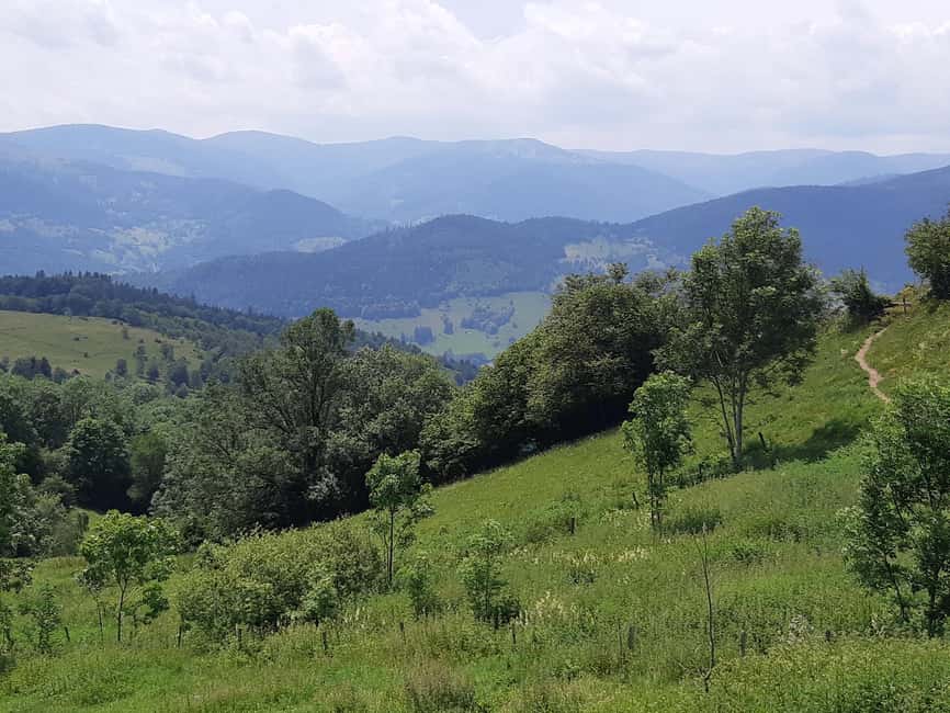 Iconics Typical villages & Haut Koenigsbourg castle - What you get for $194