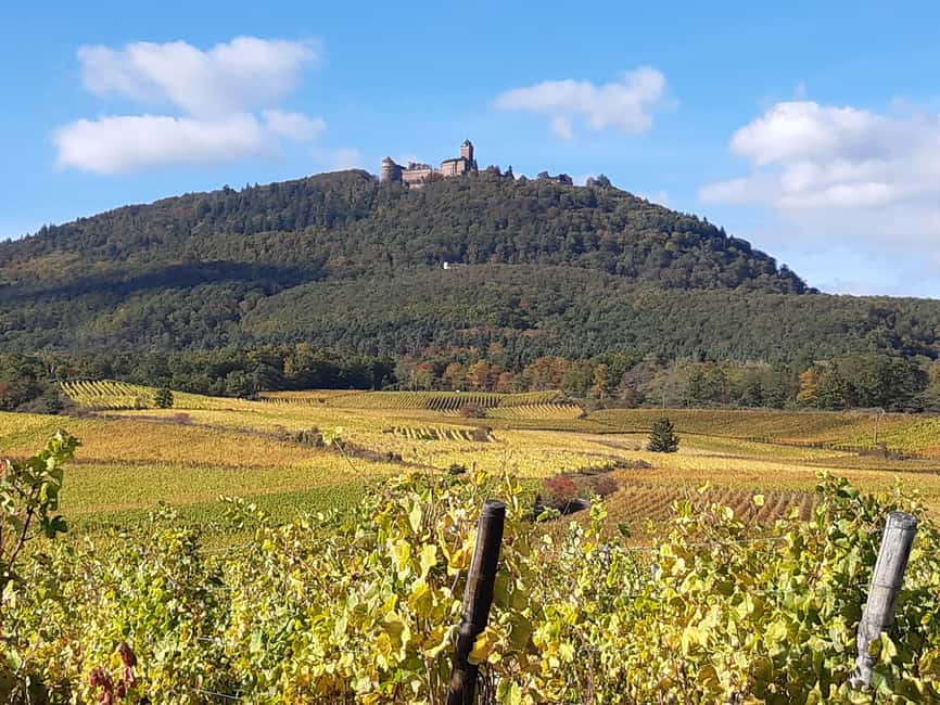 Iconics Typical villages & Haut Koenigsbourg castle - Hunawihr, a quiet first taste of Alsace