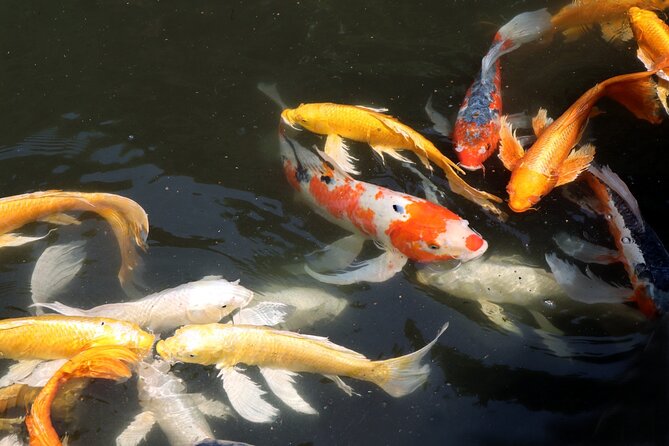 Imperial Palace East Garden and Edo Castle Walking Tour in Tokyo - Is $25 good value in Tokyo?