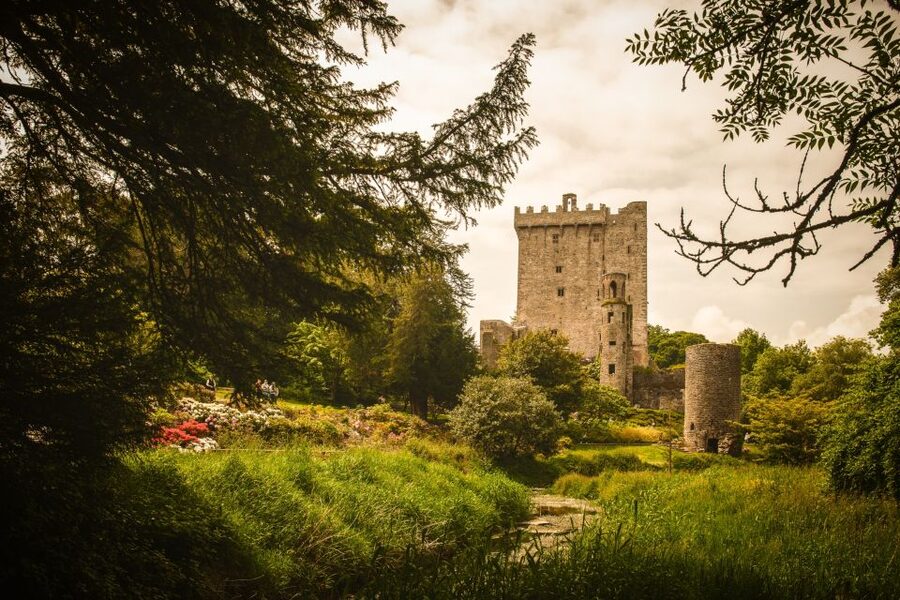 Ireland: Blarney Castle, Kilkenny & Irish Whiskey 3-Day Tour - Day one: the Rock of Cashel, whiskey and Blarney