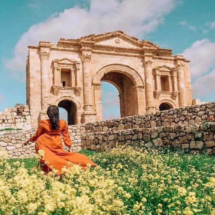 Jerash and Ajloun Castle Day Tour From Amman - Should you book this Jerash and Ajloun tour?