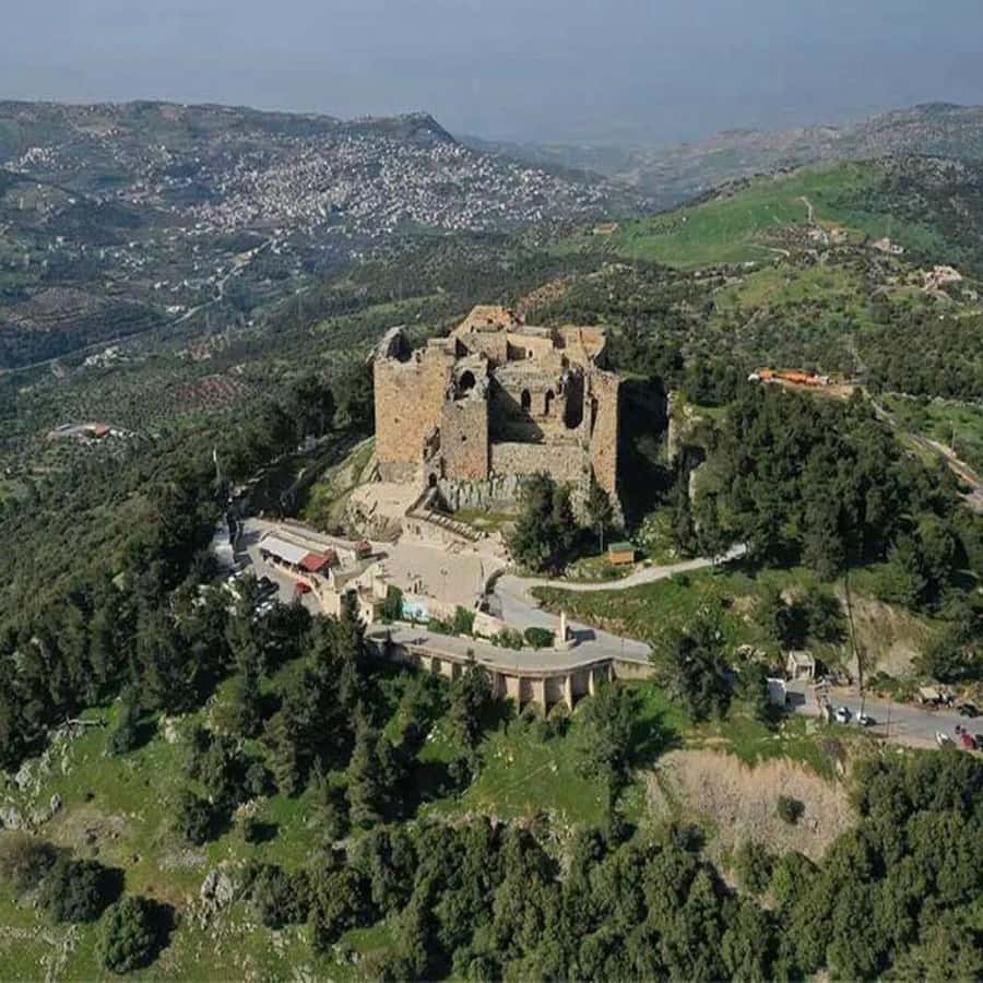 Jerash and Ajloun Castle Day Tour From Amman - Who will enjoy this day most