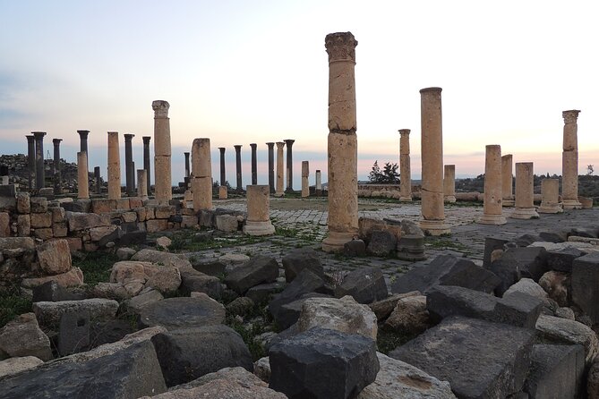 Jerash Umm Qais & Ajloun Castle Tour - What the private driver service adds