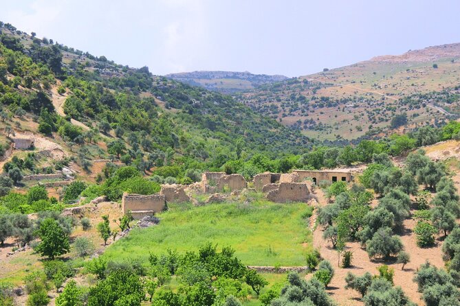 Jerash Umm Qais & Ajloun Castle Tour - Who will get the most from this day