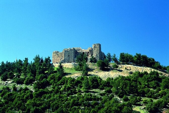 Jerash Umm Qais & Ajloun Castle Tour - Jerash: two hours among Roman columns