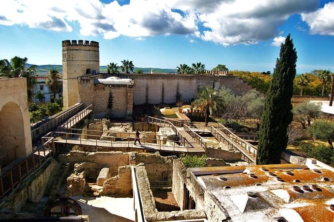 Jerez Walking Tour with Alcazar and Cathedral Entrance - Should you book the Jerez Cathedral and Alcazar tour?