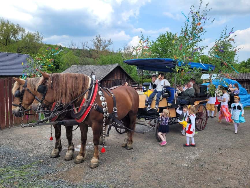 Karlštejn castle by horse carriage - A Slower Way to See the Village