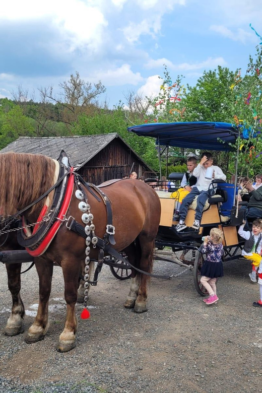 Karlštejn castle by horse carriage - A Pleasant Add-On, Not a Full-Day Tour