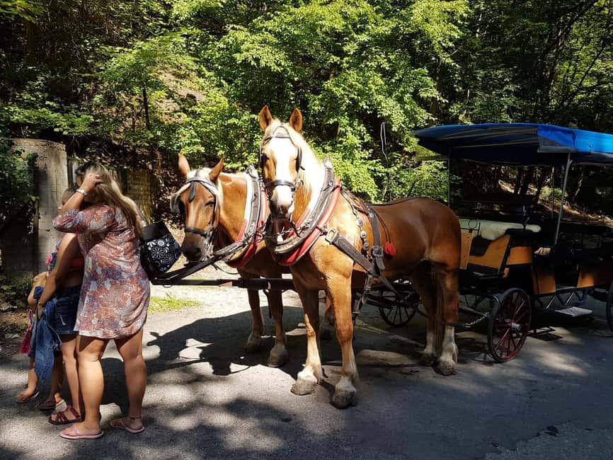 Karlštejn castle by horse carriage - FAQ