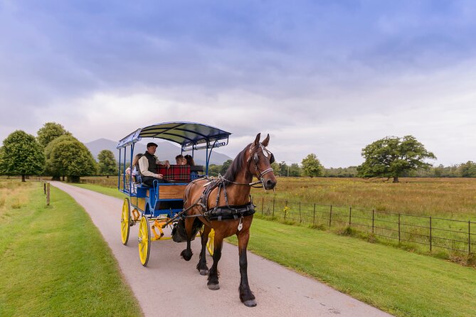 Killarney Jaunting Car Tour- Park to Castle - St. Mary’s Cathedral and Killarney’s town edge