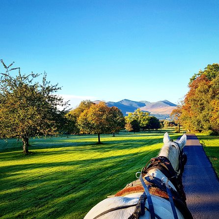 Killarney Jaunting Car Tour- Park to Castle - Ross Castle and the 20-minute stop