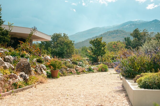 Klis Fortress, Stella Croatica and Vranjaca Cave Private Tour - Klis Fortress: history with a view
