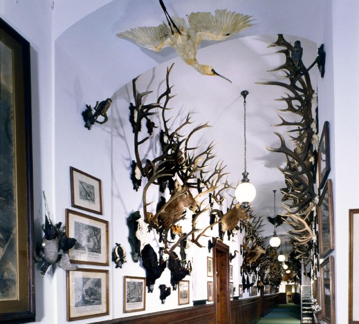 Konopiště: Chateau Tour from Prague - Timing, groups, and small practical snags