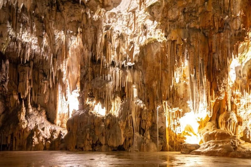 Koper/Trieste: Postojna Cave & Predjama Castle Tour & Ticket - Five things to know before you book