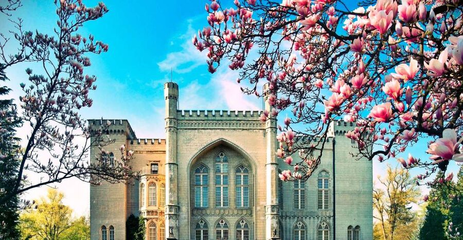 Kornik Castle and Rogalin Palace Half-Day Private Tour - Why Kornik Castle is the right first stop