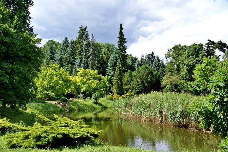 Kornik Castle and Rogalin Palace Half-Day Private Tour - Languages and guide expectations
